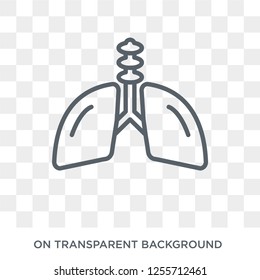 Human with focus on the lungs icon. Trendy flat vector Human with focus on the lungs icon on transparent background from Human Body Parts collection. High quality filled Human with focus on the lungs