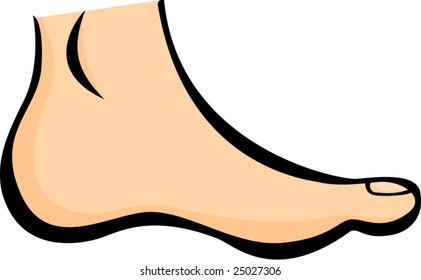 human foot