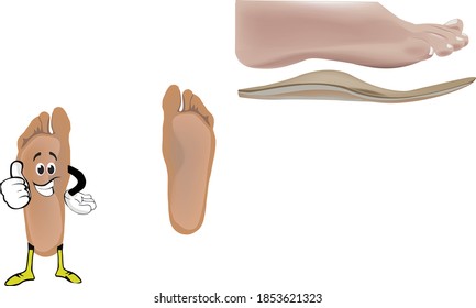 human foot with arch support for walking