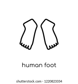 Human Foot icon. Trendy modern flat linear vector Human Foot icon on white background from thin line Human Body Parts collection, editable outline stroke vector illustration