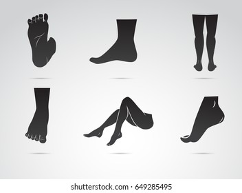 Human foot, leg icon isolated on white background. Vector art.