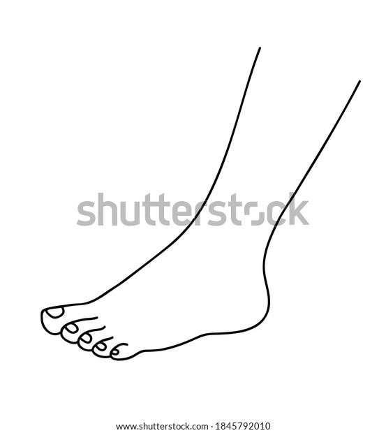 Le Pied Humain Beau Pied De Image Vectorielle De Stock Libre De Droits