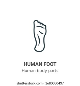 Human foot outline vector icon. Thin line black human foot icon, flat vector simple element illustration from editable human body parts concept isolated stroke on white background