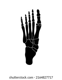 Human Foot Skeleton With Bones. Black Silhouette Vector Illustration