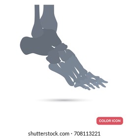 Human foot skeleton color flat icon for web and mobile design