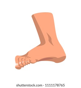Human foot standing, side view vector Illustration on a white background