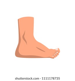 Human foot standing vector Illustration on a white background
