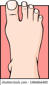 human foot top side color illustration