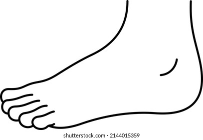 Human foot. Vector outline illustration.