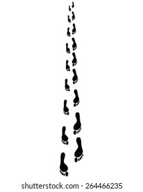 Human footsteps, vector illustration