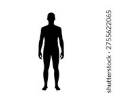 Human full body silhouette vector flat illustration design.