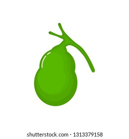 Human gallbladder anatomy icon. flat cartoon style. bright and cute. Isolated on white background. vector illustration.