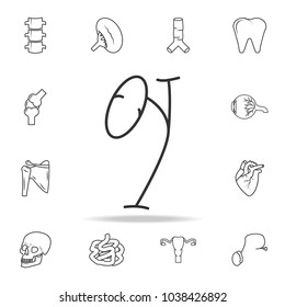 Human gallbladder icon. Detailed set of human body part icons. Premium quality graphic design. One of the collection icons for websites, web design, mobile app on white background