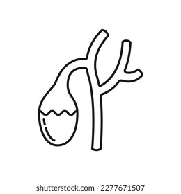 Human gallbladder icon. High quality black vector illustration.