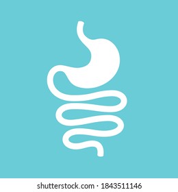 Human Gastrointestinal System, Stomach And Intestine Vector Icon