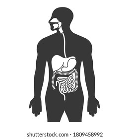 Human gastrointestinal tract or digestive system flat icon for apps and websites