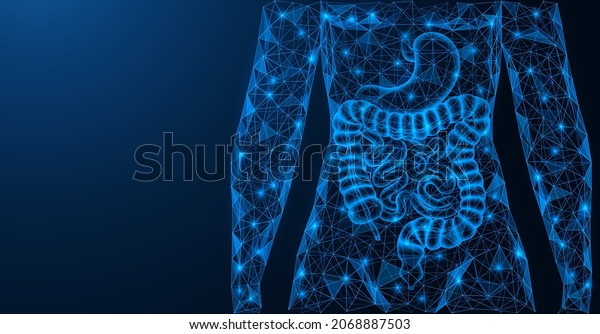 Human gastrointestinal tract. The digestive\
system. Torso and internal organs. A low-poly model of\
interconnected elements. Blue\
background.