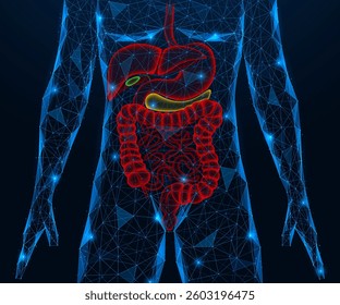 The human gastrointestinal tract. Polygonal design of interconnected elements. Dark blue background.