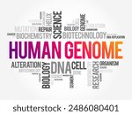 Human Genome is a complete set of nucleic acid sequences for humans, word cloud concept background. No AI generated content