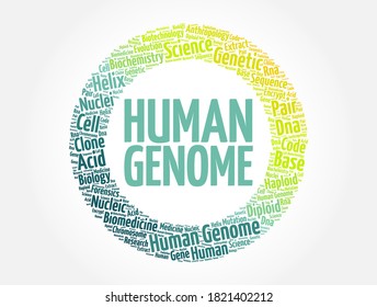 Human Genome is a complete set of nucleic acid sequences for humans, word cloud concept background