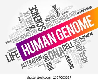 Human Genom ist ein kompletter Satz von Nukleinsäuresequenzen für den Menschen, Hintergrund des Wortwolken-Konzepts