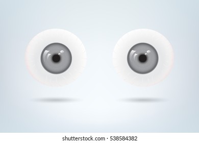 Human grey eyes balls pupil. Medical visual material. Vector illustration