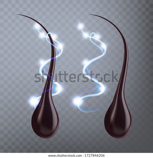 Human Hair Follicle Protective Effect\
Vector. Hair With Bulb Root Protein Filament That Grows From\
Follicles Found In Dermis. Shampoo Treatment And Care Template\
Realistic 3d\
Illustration