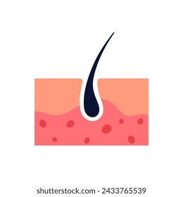 Human hair, simple skin structure diagram with healthy follicle vector illustration