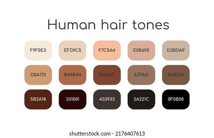 Human Hair Tones Palette Different Colors Stock Vector (Royalty Free ...