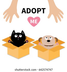 Human Hand. Adopt Me. Dog Cat Inside Opened Cardboard Package Box. Ready For A Hug. Puppy Pooch Kitten Cat Looking Up To Heart. Pet Adoption Flat Design Help Animal Concept White Background. Vector