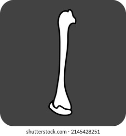 human hand arm bone illustration humerus bone skeleton man white bone with grey background
