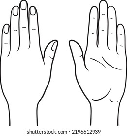 Human Hand Back And Palm View Vector Illustration, Male Female Anatomy Line Art