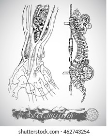 Human hand and backbone with vintage mechanism in steampunk style, body parts and machines