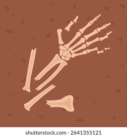 Human hand bones. Archaeological find. Historical value. Image for books, articles, posters, archeology, history of past excavations presentations