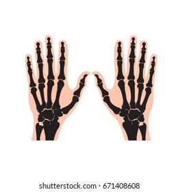 human hand bones in black & pink color-vector drawing