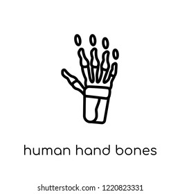 Human hand bones icon. Trendy modern flat linear vector Human hand bones icon on white background from thin line Human Body Parts collection, editable outline stroke vector illustration
