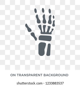 Human hand bones icon. Trendy flat vector Human hand bones icon on transparent background from Human Body Parts collection. 