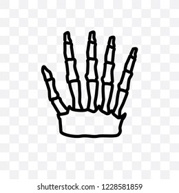 Human hand bones vector linear icon isolated on transparent background, Human hand bones transparency concept can be used for web and mobile