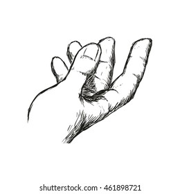 Human hand concept represented by gesture with fingers  icon. Isolated and sketch illustration