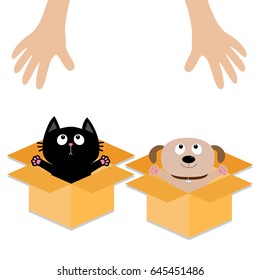 Human hand. Dog Cat inside opened cardboard package box. Ready for a hug. Puppy pooch kitten cat looking up to pink heart. Pet adoption Flat design Help animal concept White background. Vector