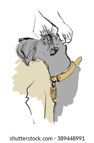Human hand and dog schnauzer.