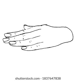 Mano humana. Esbozo de tinta de doodle lineal dibujado a mano. Silueta negra de fondo blanco.