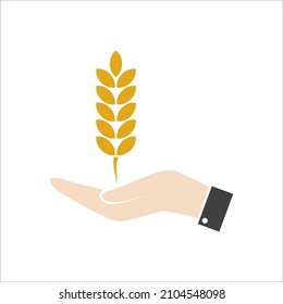 Human hand with ears of wheat. Farmer holding ripe grain. Harvest in farm land.