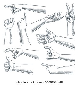 Human hand and fingers gesture. Vector sketch hand drawn illustration. Male or female hands collection, isolated on white background