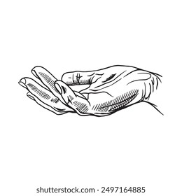 Mano humana. El gesto de recibir o dar algo. Dedos. Ilustración vectorial. Gráfico. Anuncios, carteles, rótulos, folletos, carteles informativos
