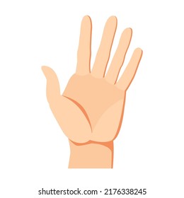 Human hand give five gesture. Arm and wrists, amount signs, open palm, pointing with finger, greeting, fist. Vector illustration for communication, signals