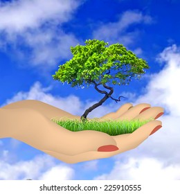 Human hand with grass, tree and sky