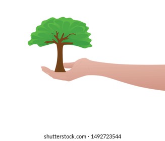 Human hand hold tree. vector