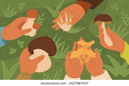 Human hand holding edible fungus top view over green forest grass