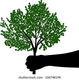 mão humana segurando árvore verde